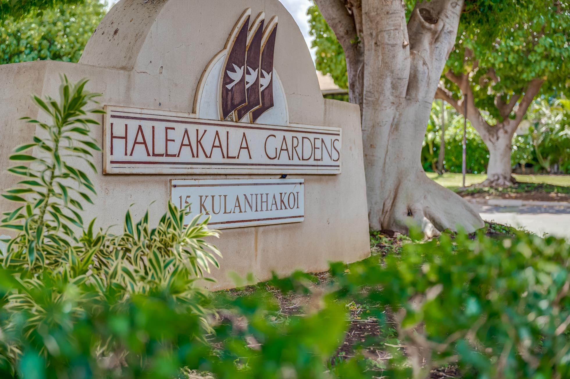 Haleakala Gardens condo # 15D, Kihei, Hawaii - photo 21 of 28