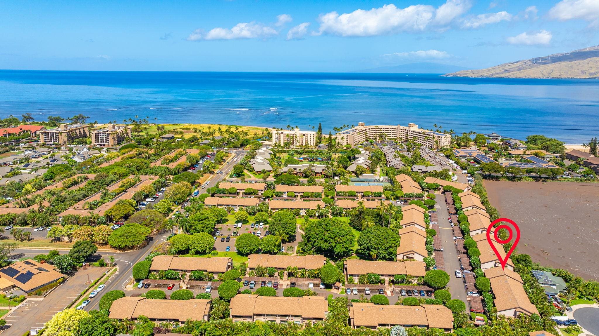 Haleakala Gardens condo # 15E, Kihei, Hawaii - photo 28 of 34