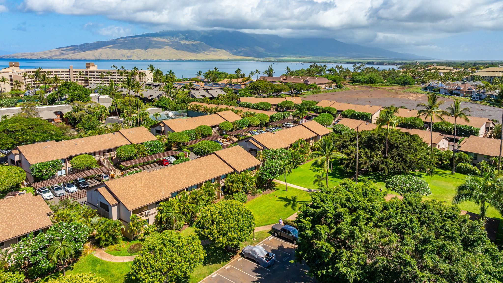 Haleakala Gardens condo # 15E, Kihei, Hawaii - photo 29 of 34