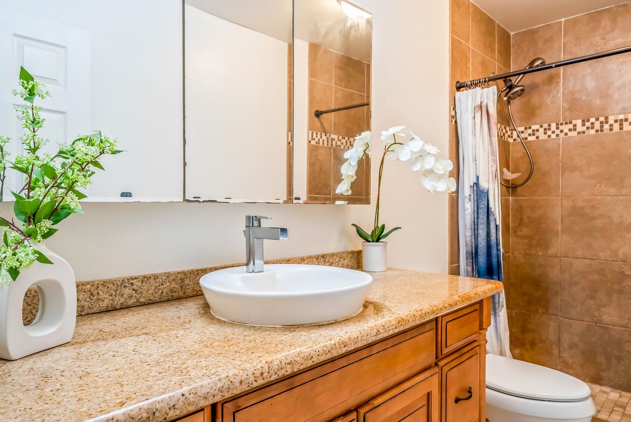 Haleakala Gardens condo # 17E, Kihei, Hawaii - photo 18 of 43