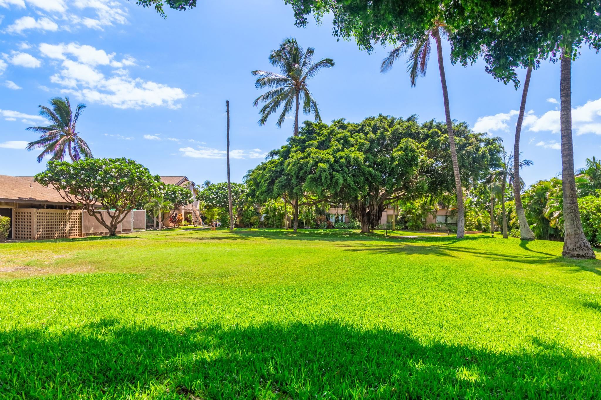 Haleakala Gardens condo # 17E, Kihei, Hawaii - photo 41 of 43