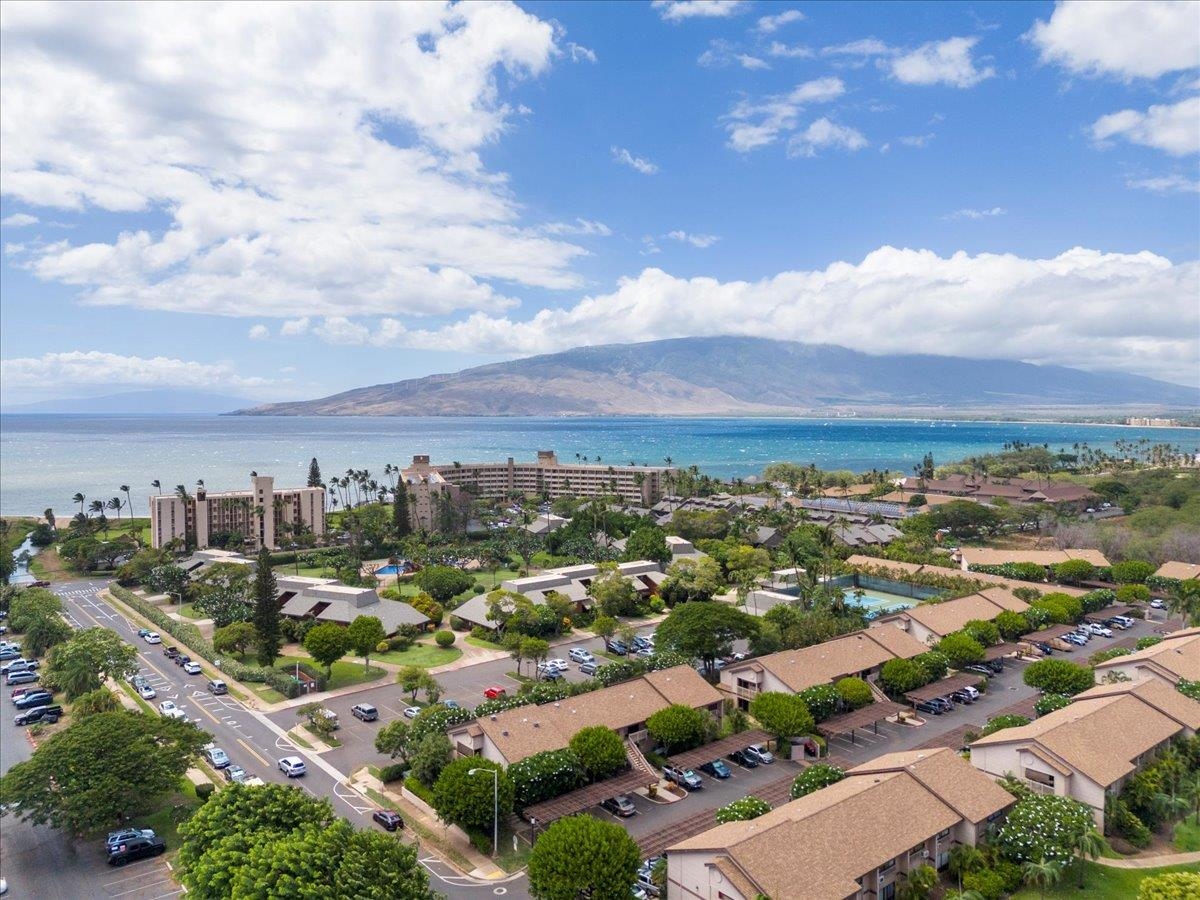 Haleakala Gardens condo # 1D, Kihei, Hawaii - photo 36 of 42