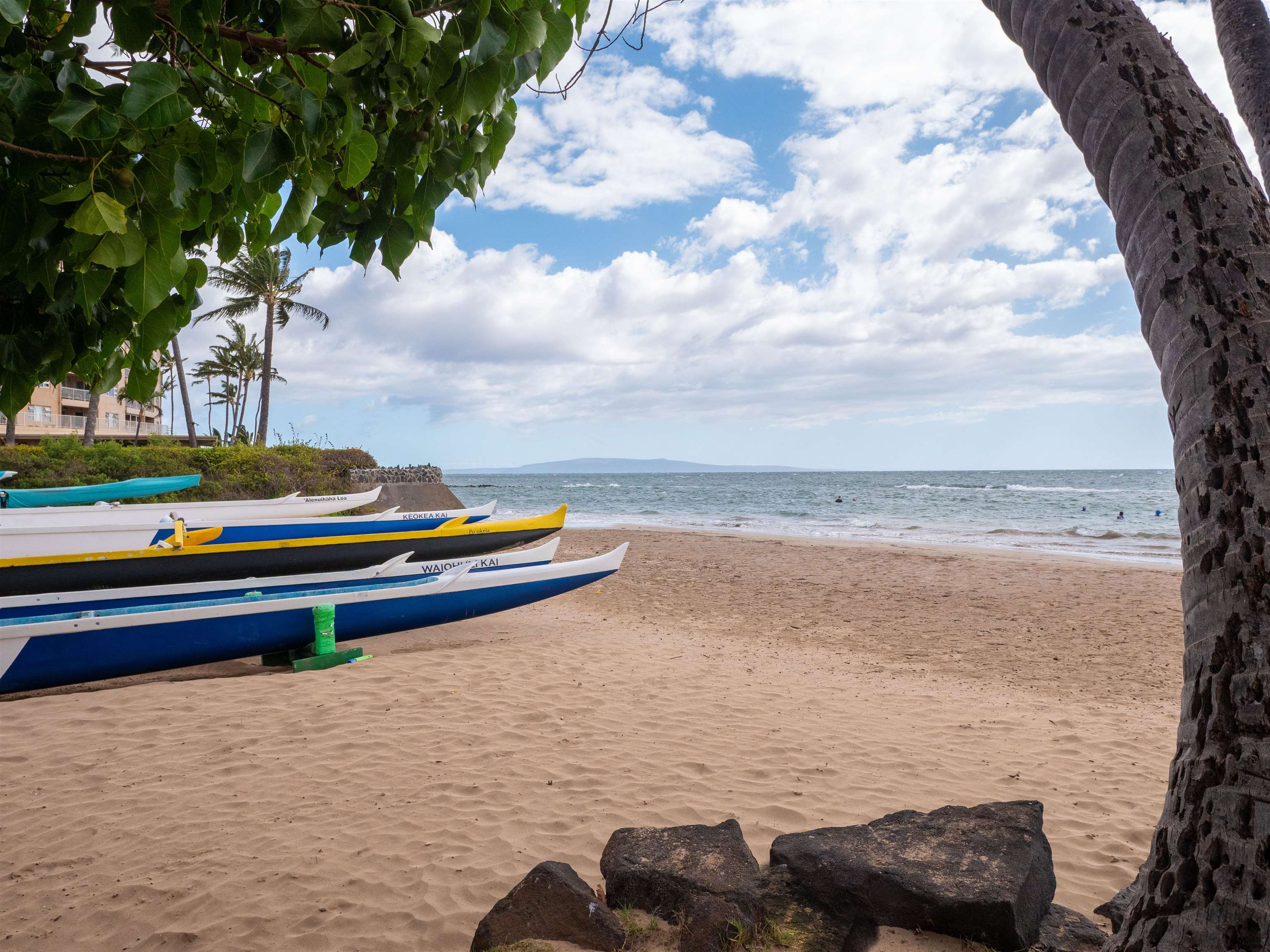 Haleakala Gardens condo # 1H, Kihei, Hawaii - photo 15 of 20