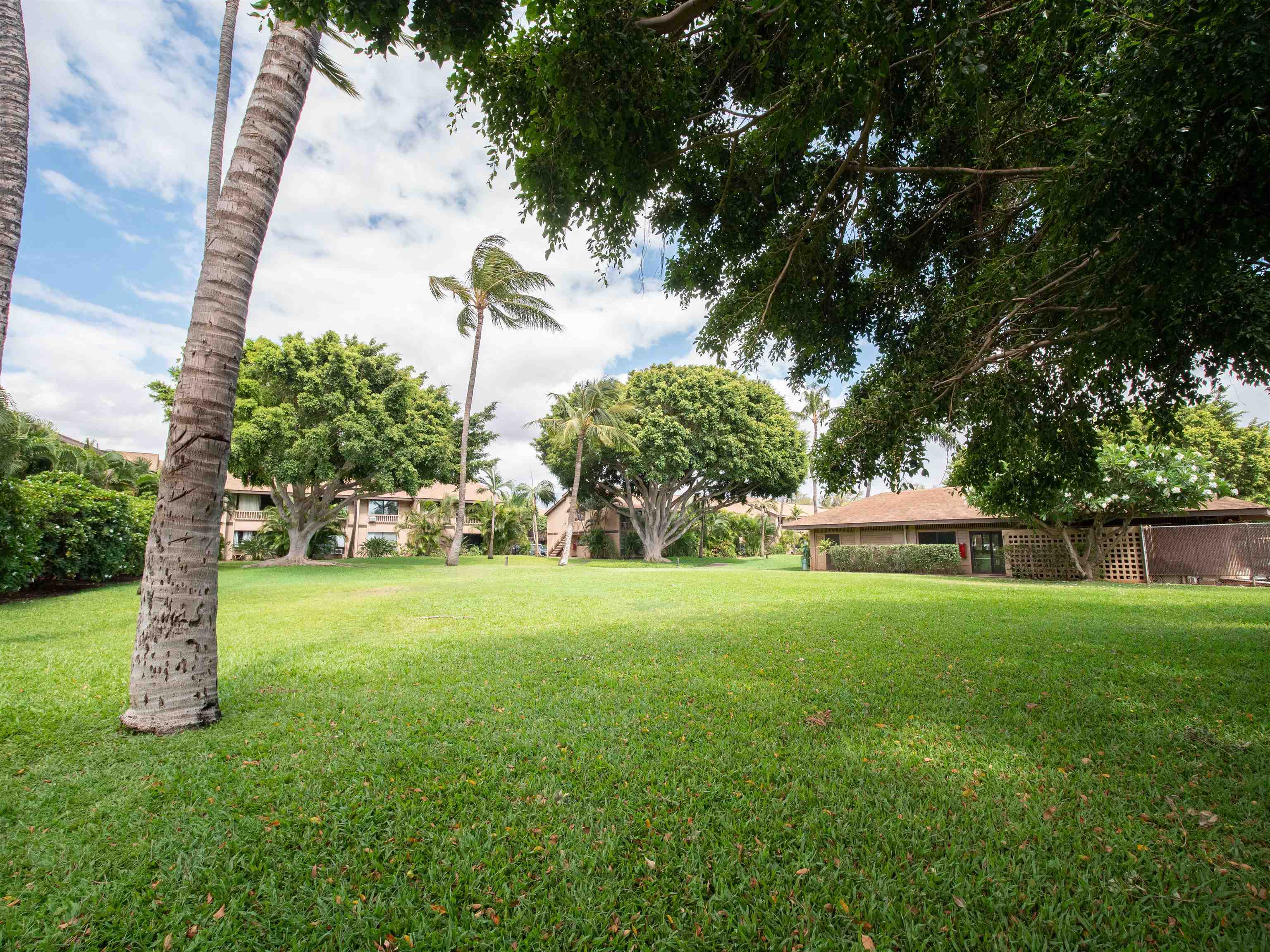 Haleakala Gardens condo # 1H, Kihei, Hawaii - photo 19 of 20