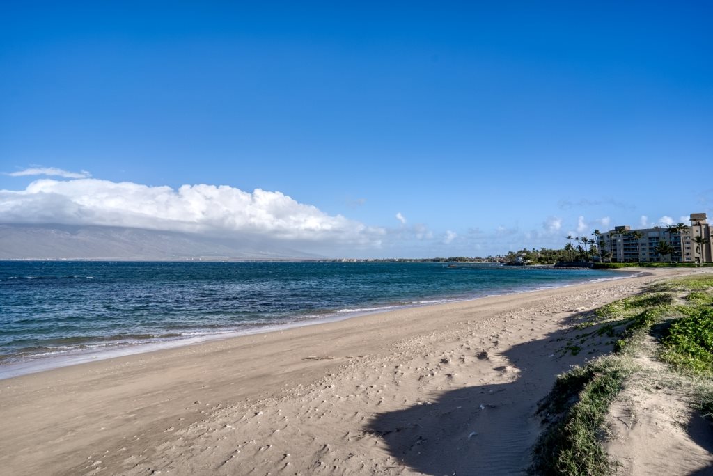 Haleakala Gardens condo # 7F, Kihei, Hawaii - photo 28 of 30