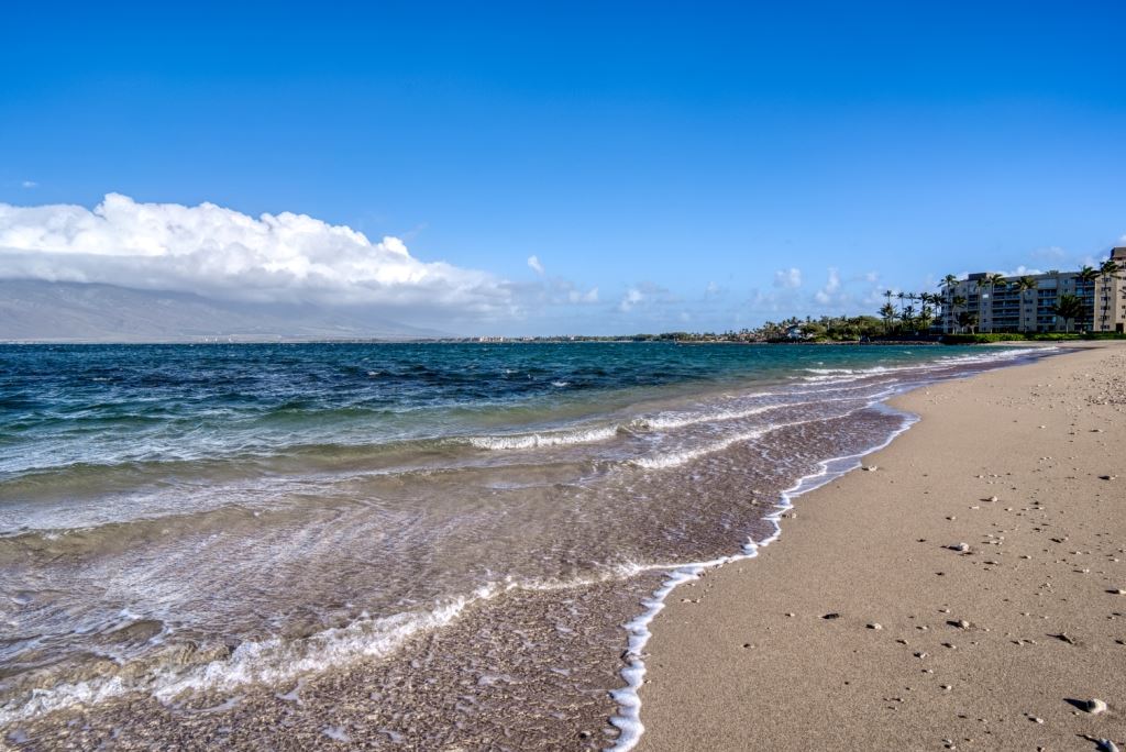 Haleakala Gardens condo # 7F, Kihei, Hawaii - photo 29 of 30