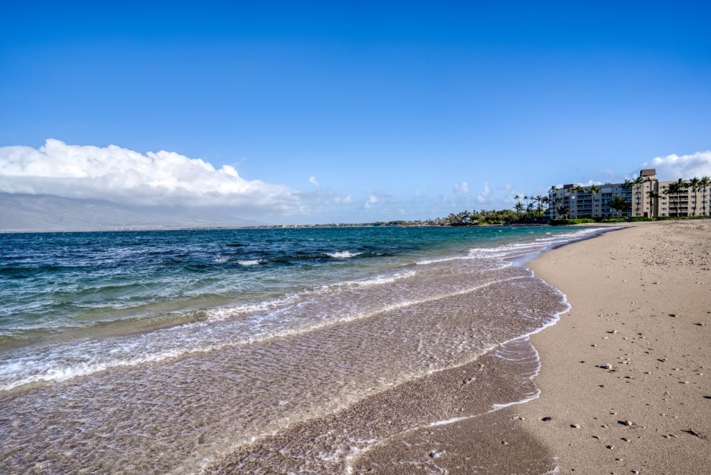 Haleakala Gardens condo # 7F, Kihei, Hawaii - photo 30 of 30