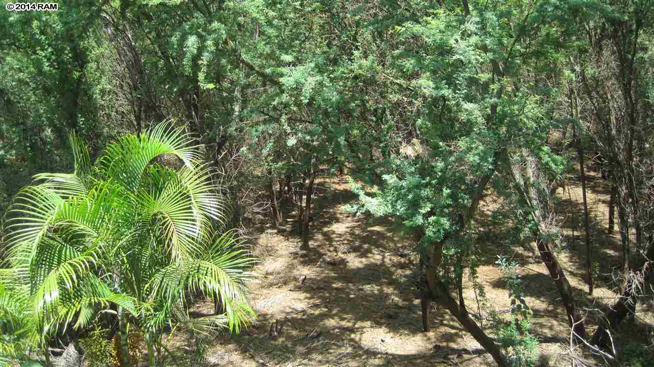 Haleakala Gardens condo # 9G, Kihei, Hawaii - photo 15 of 21