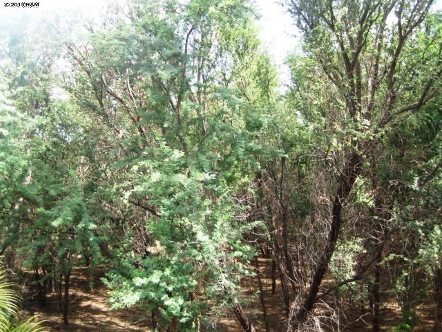 Haleakala Gardens condo # 9G, Kihei, Hawaii - photo 16 of 21