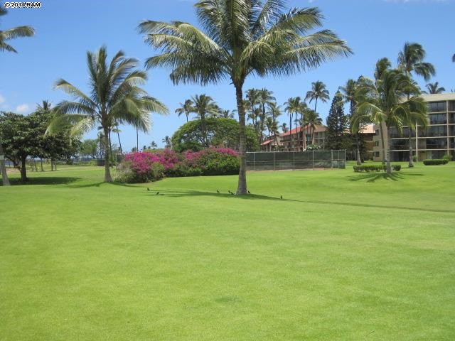 Haleakala Gardens condo # 9G, Kihei, Hawaii - photo 19 of 21
