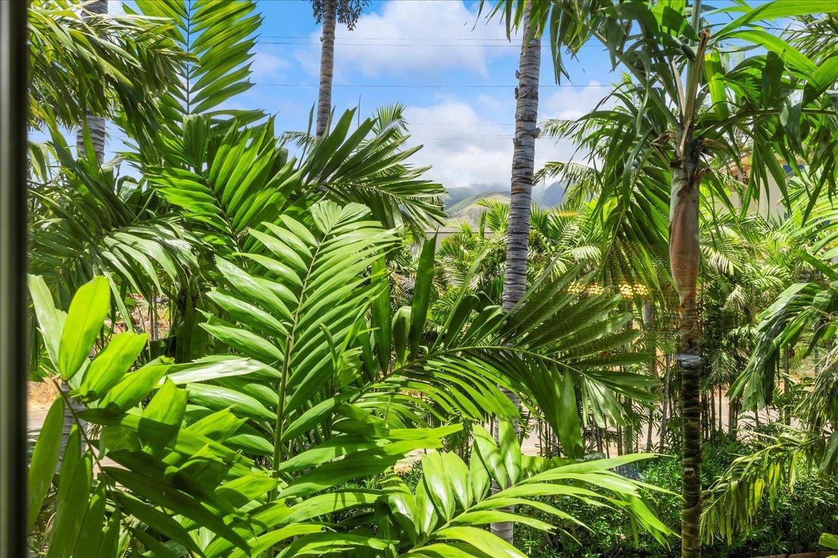 Hoonanea at Lahaina condo # 101, Lahaina, Hawaii - photo 16 of 35