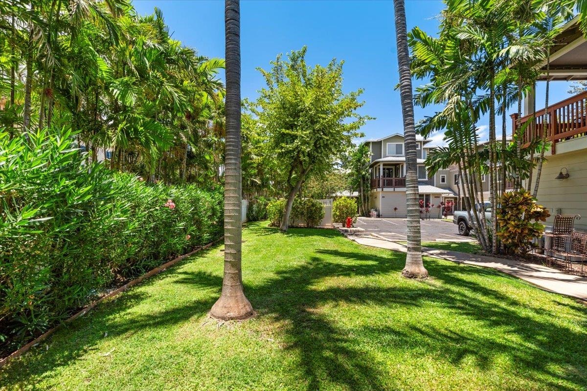 Hoonanea at Lahaina condo # 101, Lahaina, Hawaii - photo 35 of 35