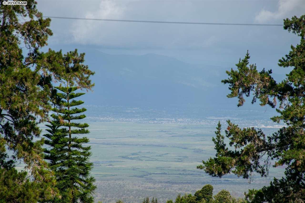15  'olu'olu Pl Upper Kula - Waipoli, Kula/Ulupalakua/Kanaio home - photo 24 of 30