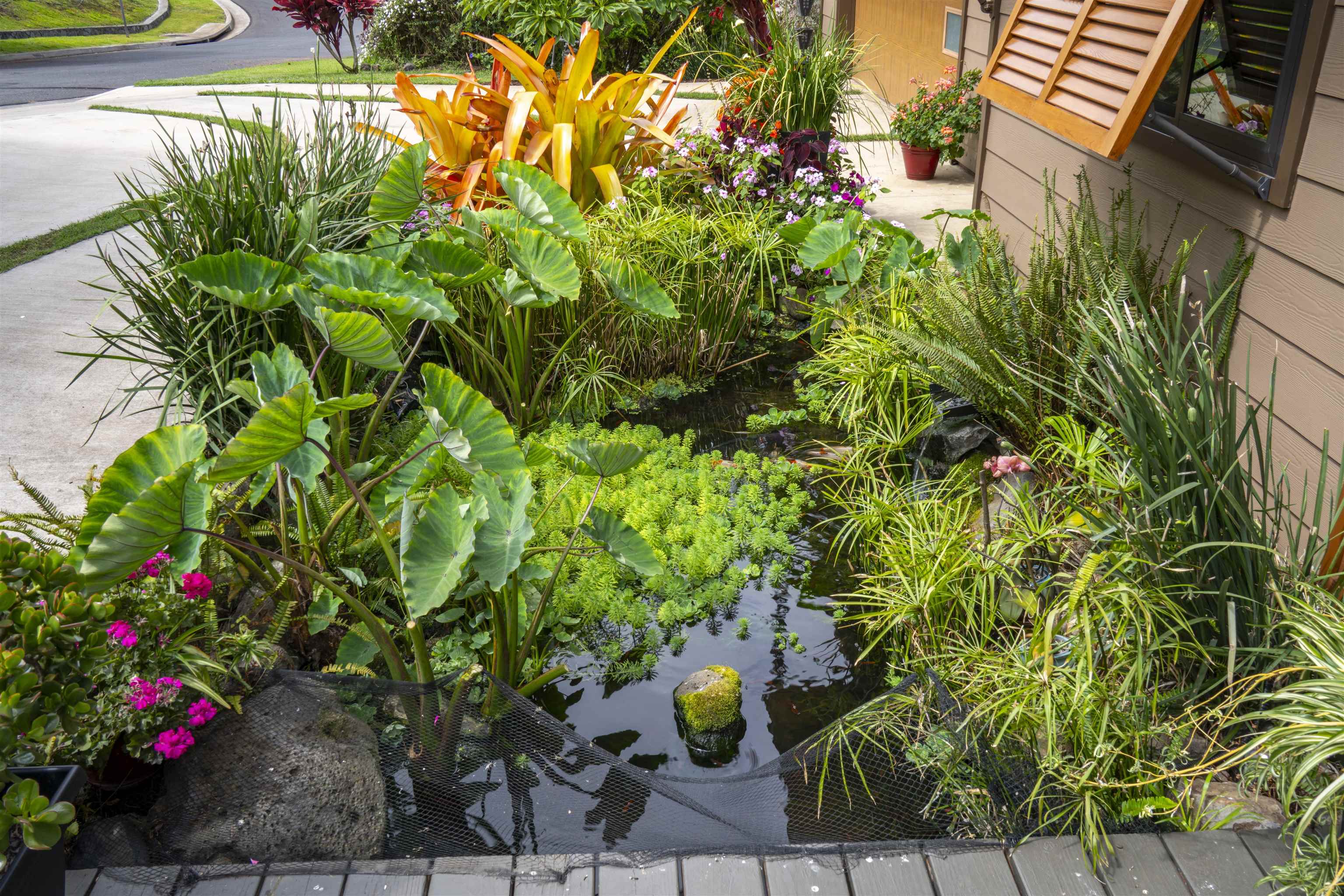 15  Uau Pl Kulamanu, Kula/Ulupalakua/Kanaio home - photo 4 of 40