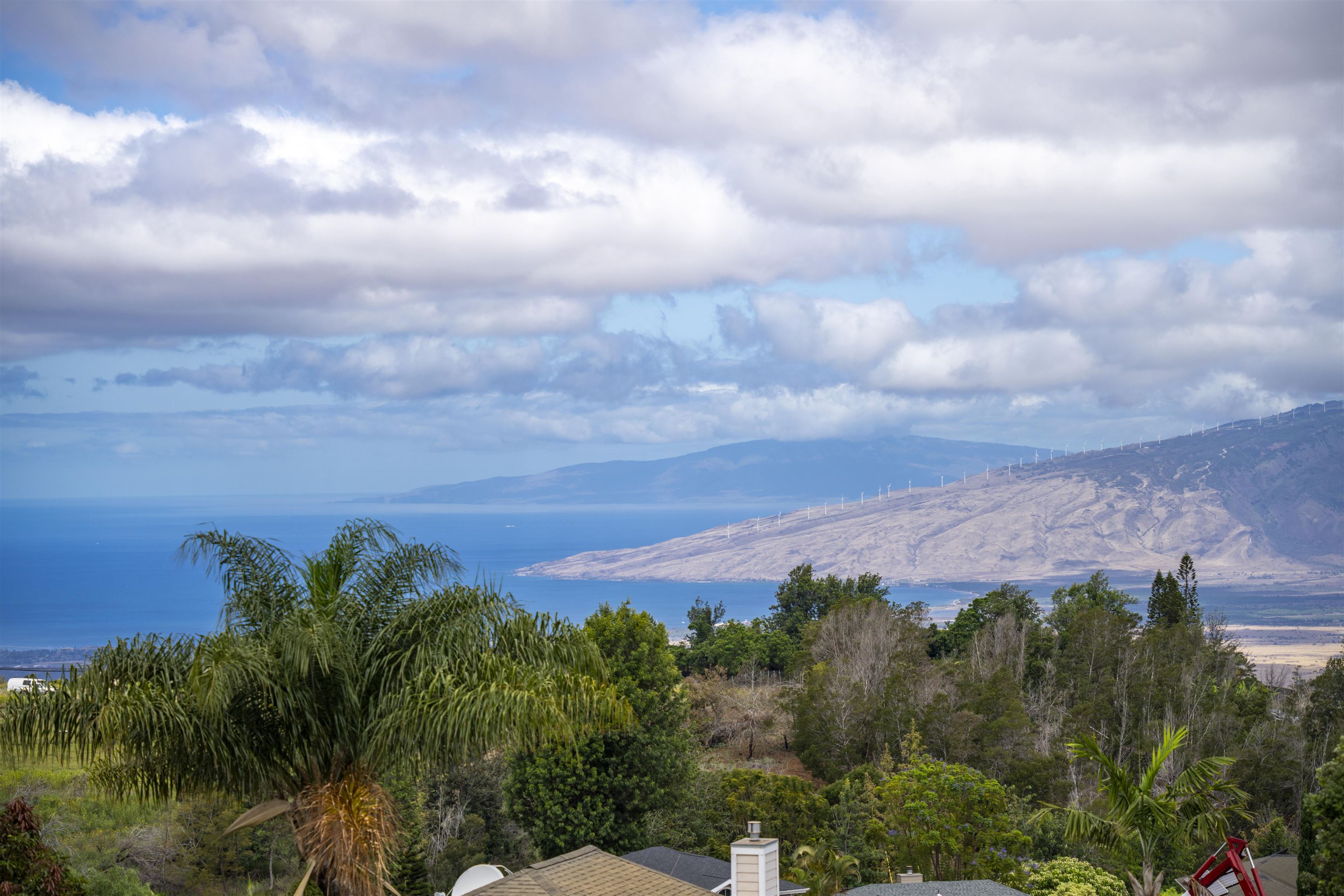 15  Uau Pl Kulamanu, Kula/Ulupalakua/Kanaio home - photo 36 of 40