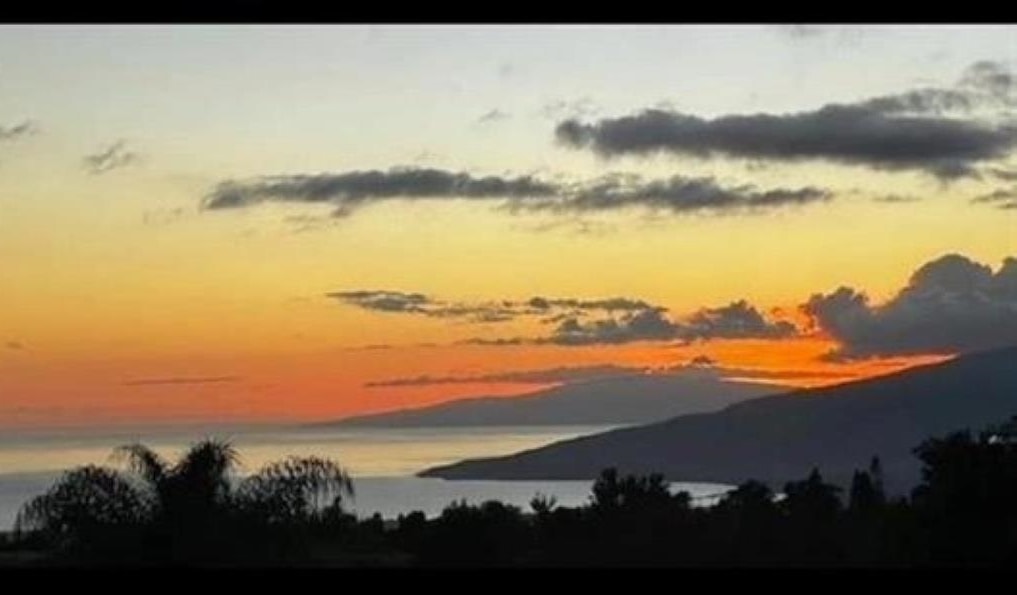 15  Uau Pl Kulamanu, Kula/Ulupalakua/Kanaio home - photo 40 of 40