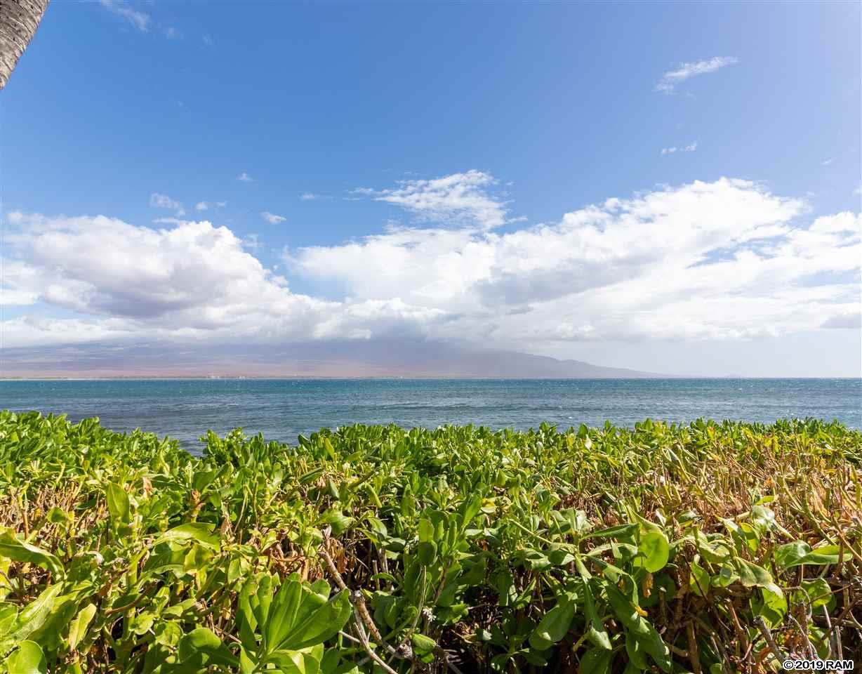 Island Sands condo # 101, Wailuku, Hawaii - photo 27 of 30