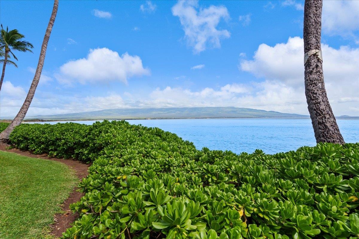 Island Sands condo # 103, Wailuku, Hawaii - photo 22 of 28