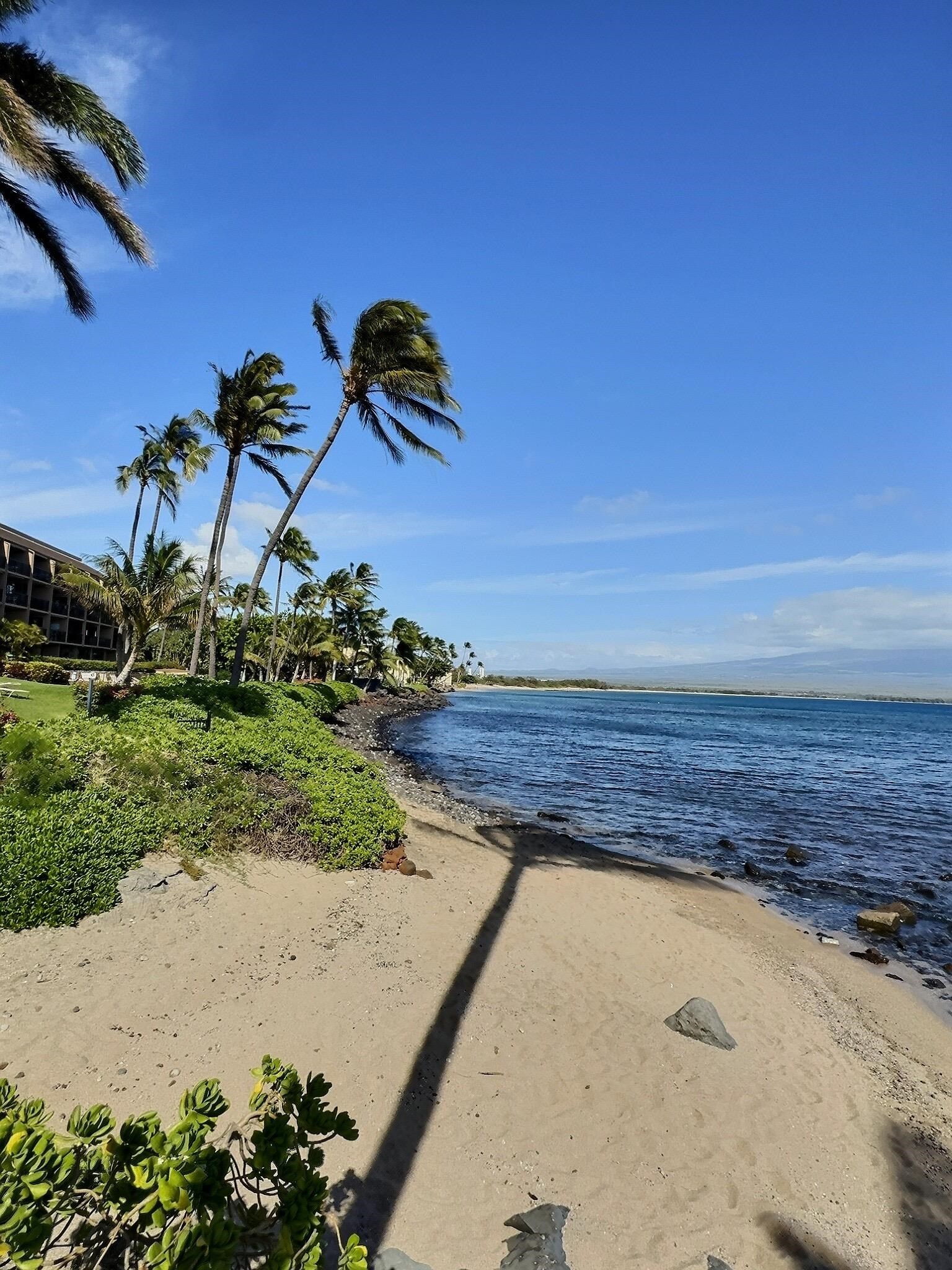 Island Sands condo # 105, Wailuku, Hawaii - photo 29 of 40