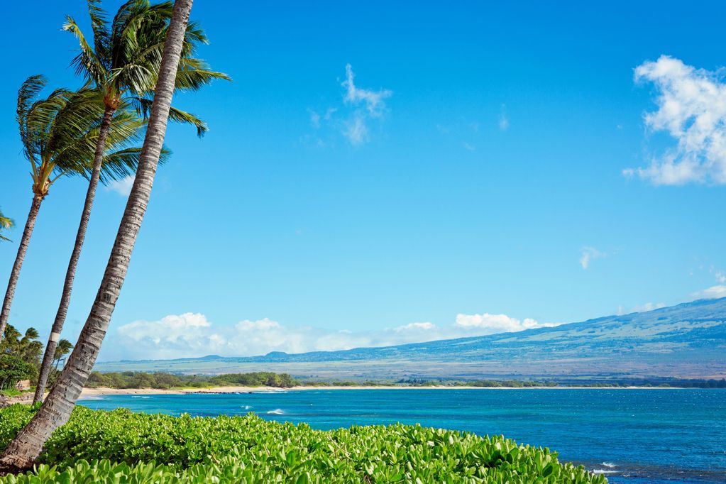 Island Sands condo # 110, Wailuku, Hawaii - photo 26 of 30