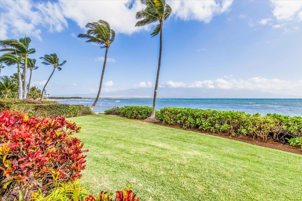 Island Sands condo # 110, Wailuku, Hawaii - photo 28 of 40