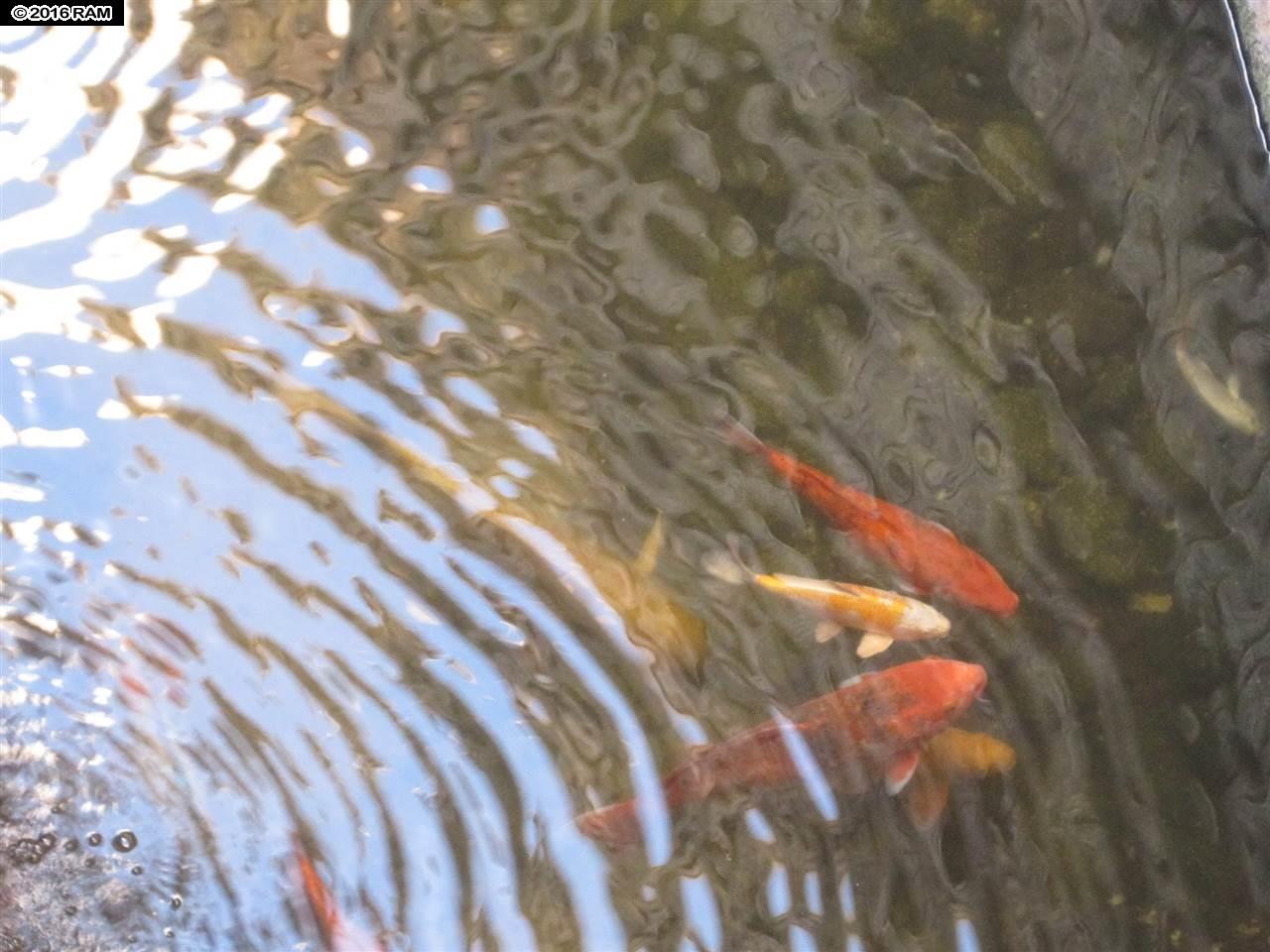 Island Sands condo # 204, Wailuku, Hawaii - photo 24 of 29