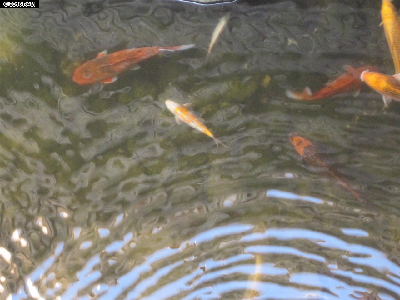 Island Sands condo # 204, Wailuku, Hawaii - photo 25 of 29