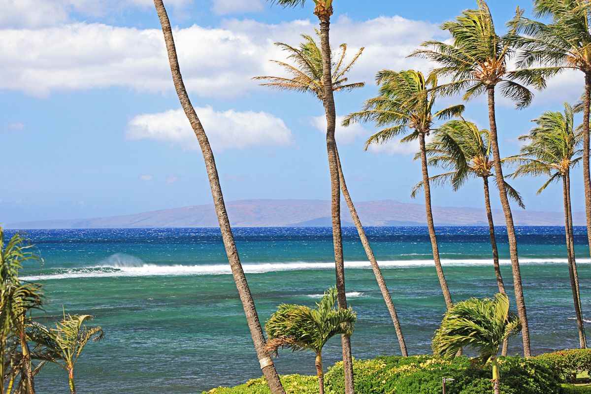 Island Sands condo # 304, Wailuku, Hawaii - photo 19 of 28