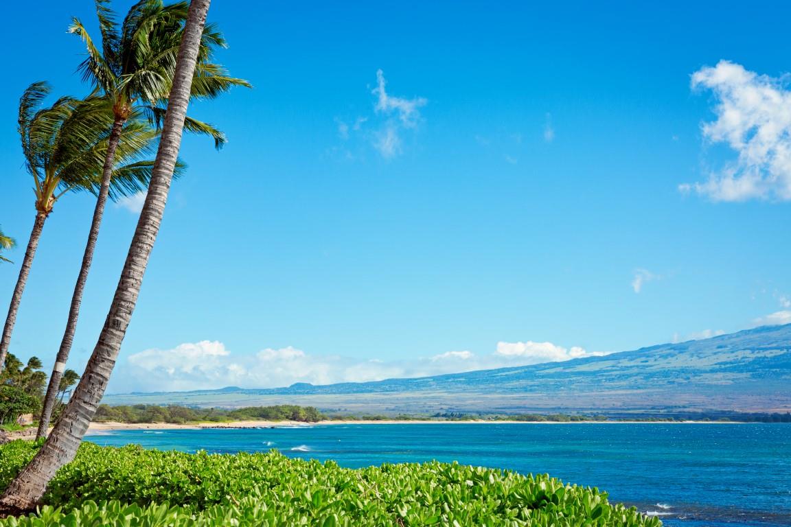 Island Sands condo # 311, Wailuku, Hawaii - photo 29 of 30