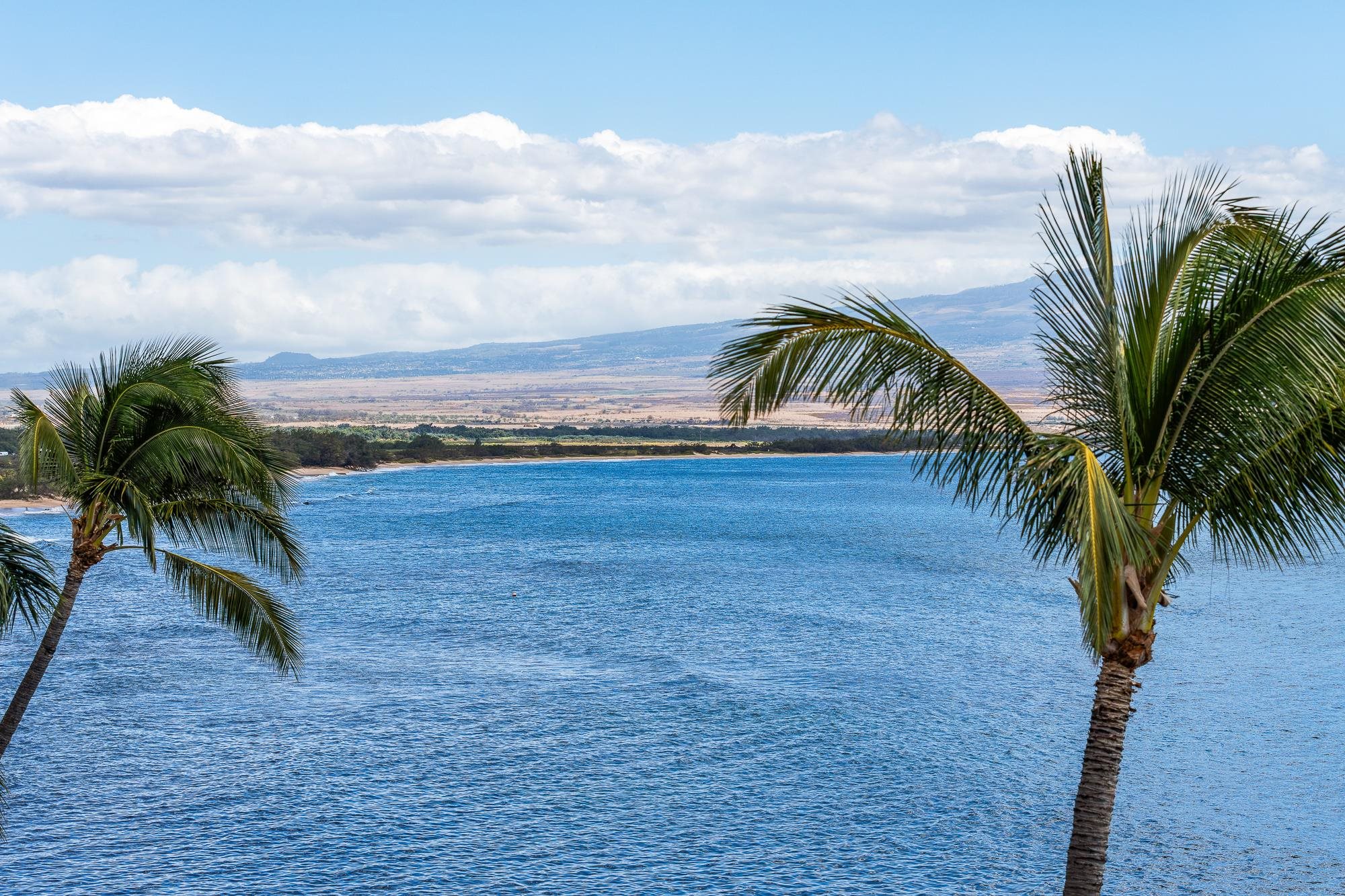 Island Sands condo # 511, Wailuku, Hawaii - photo 11 of 40