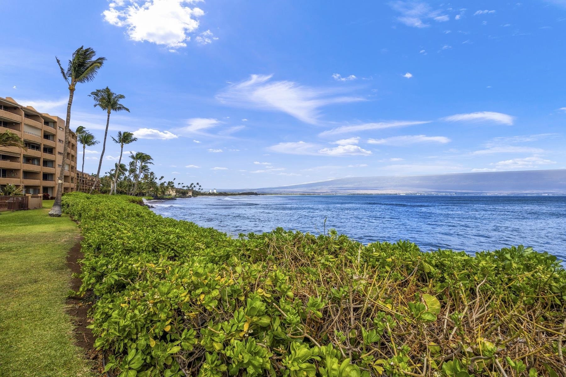 Island Sands condo # 601, Wailuku, Hawaii - photo 24 of 40