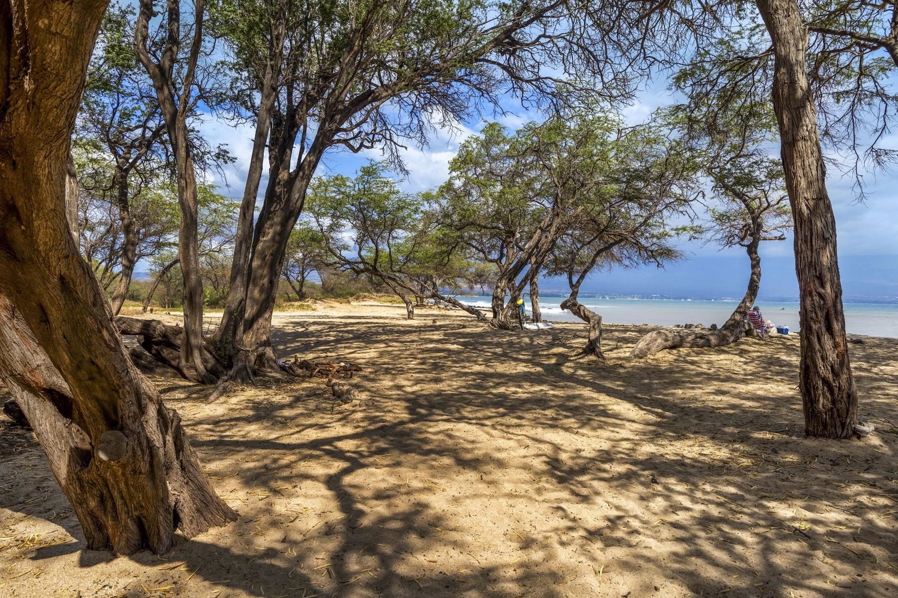 Island Sands condo # 601, Wailuku, Hawaii - photo 37 of 40