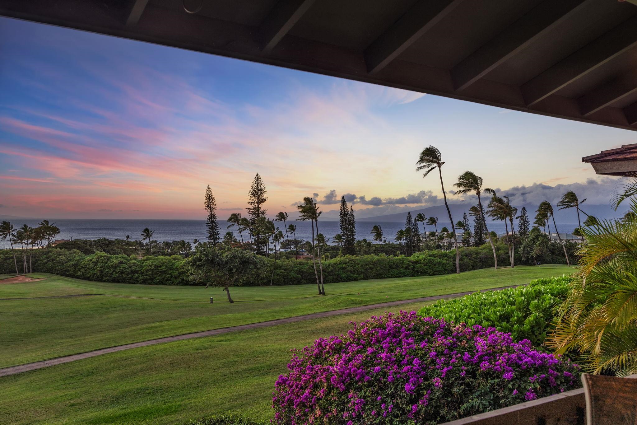 Kaanapali Plantation condo # 10, Lahaina, Hawaii - photo 29 of 44