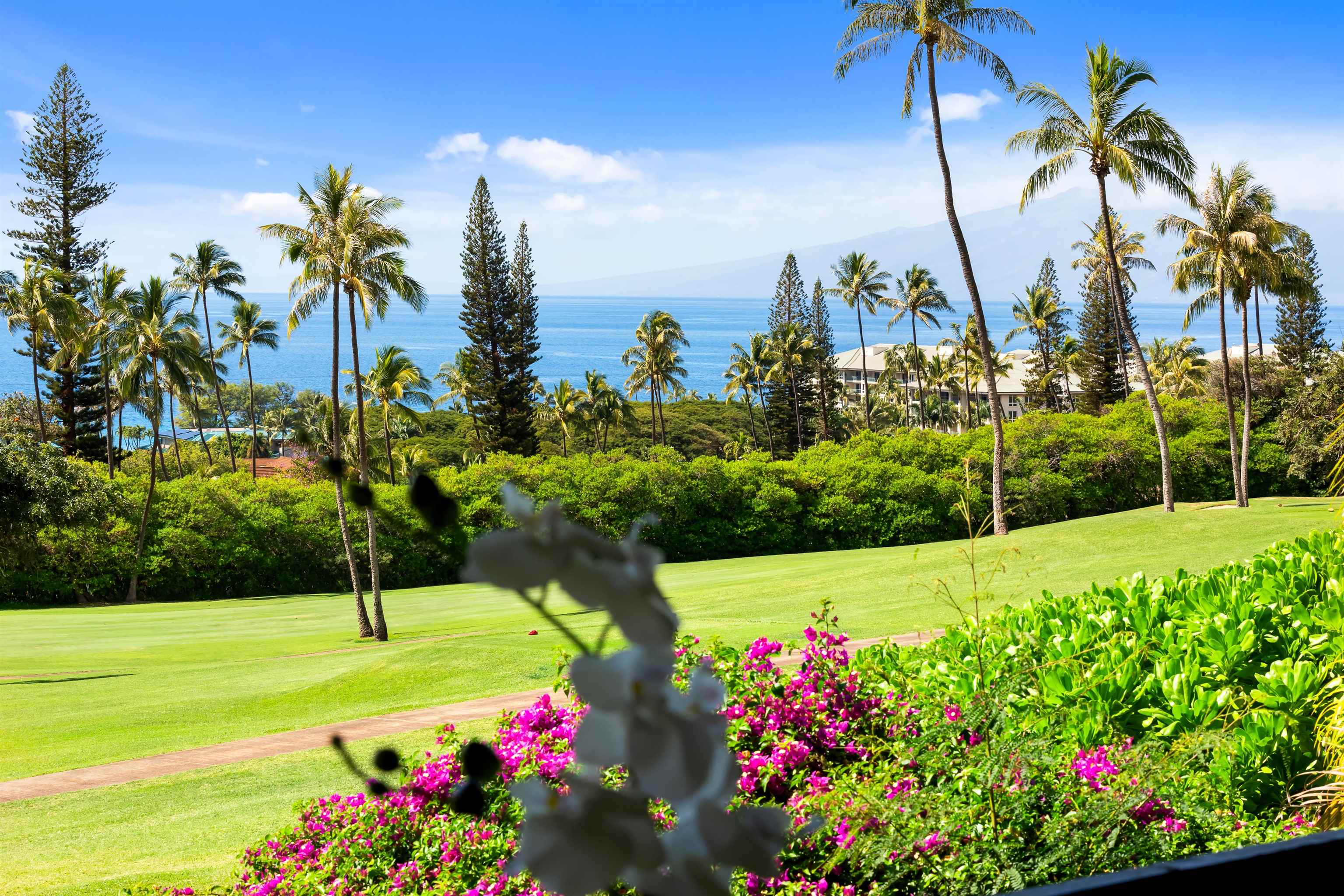 Kaanapali Plantation condo # 10, Lahaina, Hawaii - photo 20 of 26