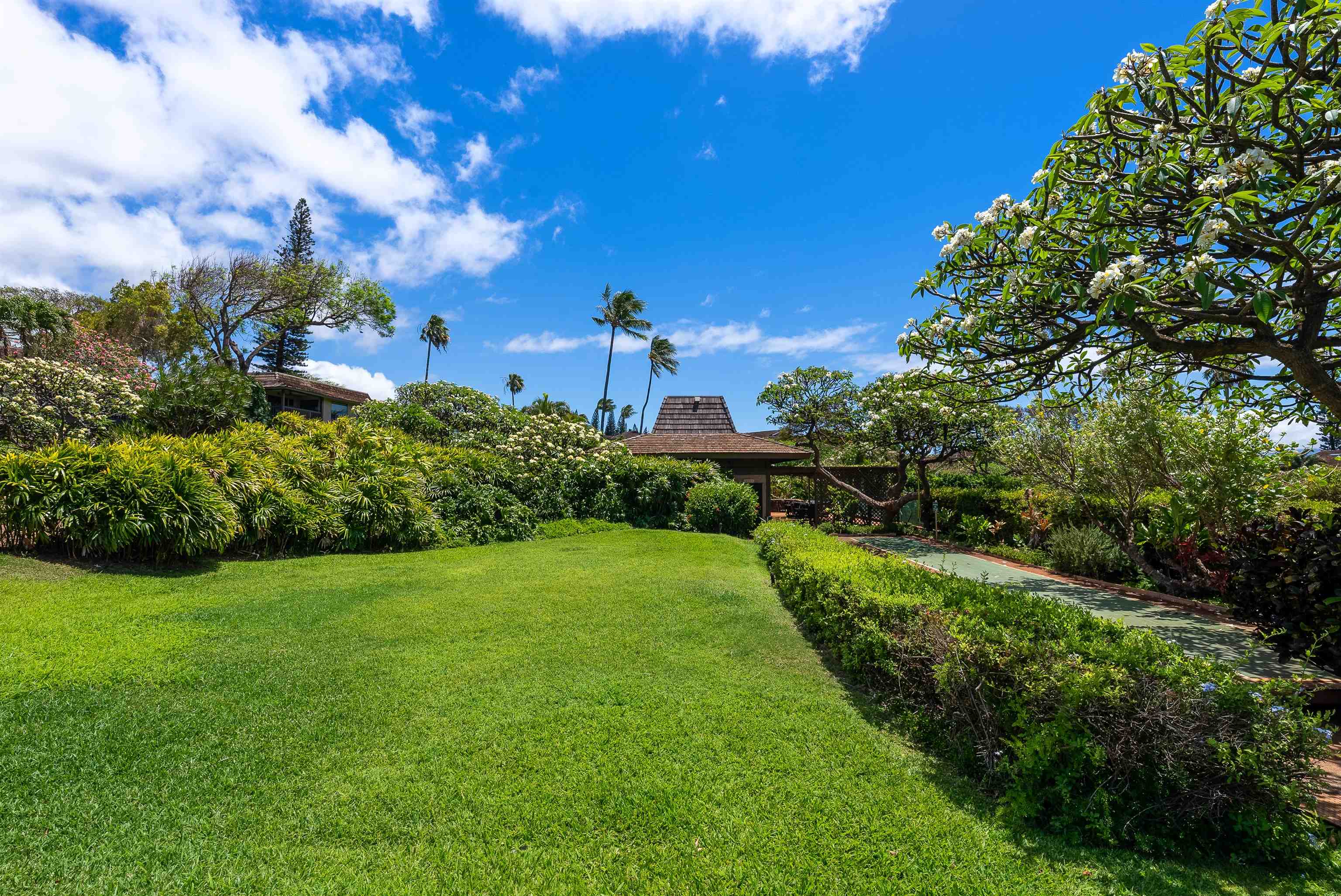 Kaanapali Plantation condo # 10, Lahaina, Hawaii - photo 23 of 26