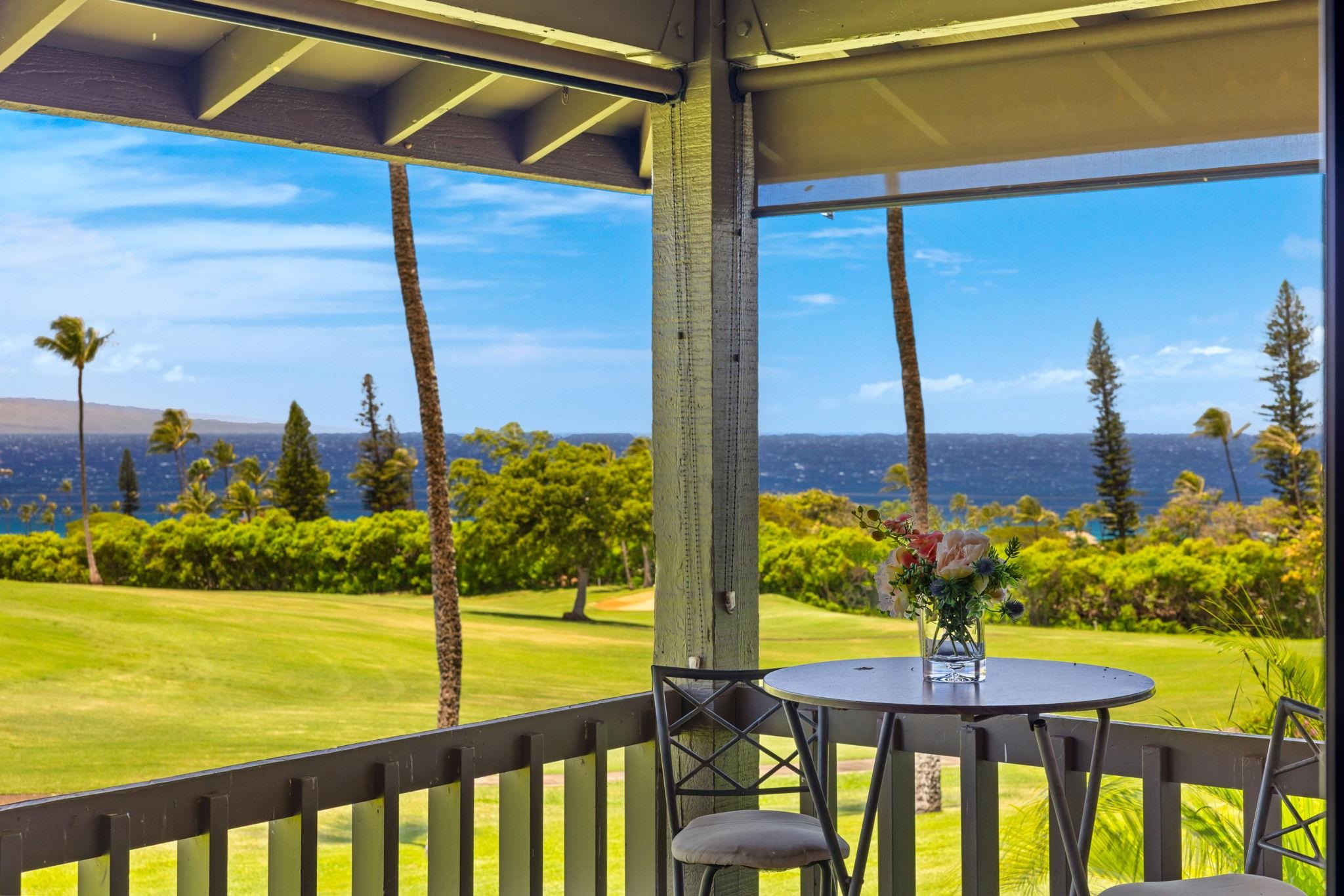 Kaanapali Plantation condo # 12, Lahaina, Hawaii - photo 33 of 50