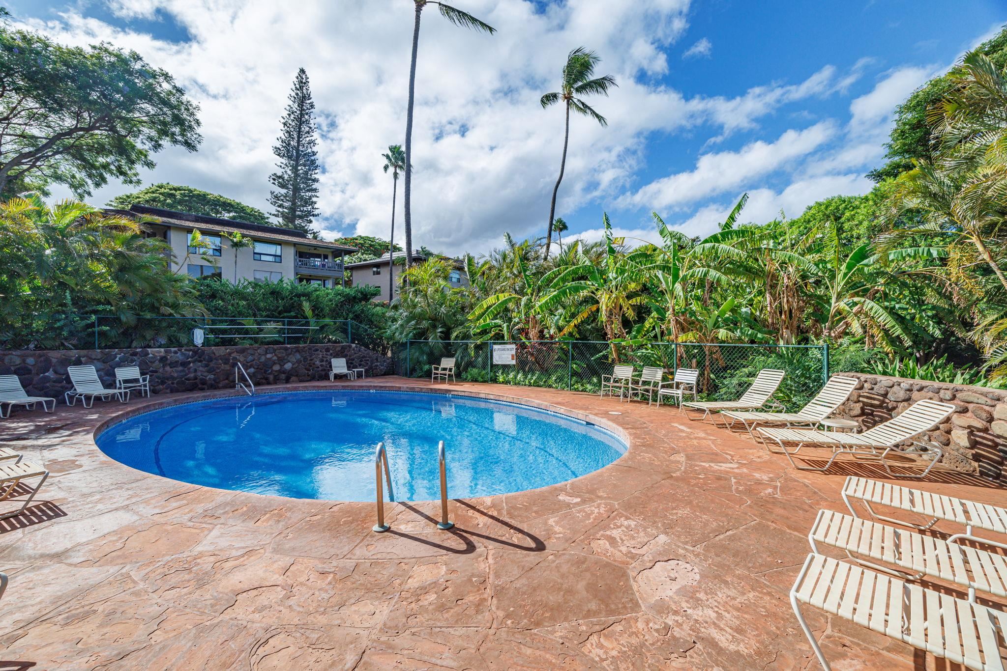 Kaanapali Plantation condo # 12, Lahaina, Hawaii - photo 38 of 50