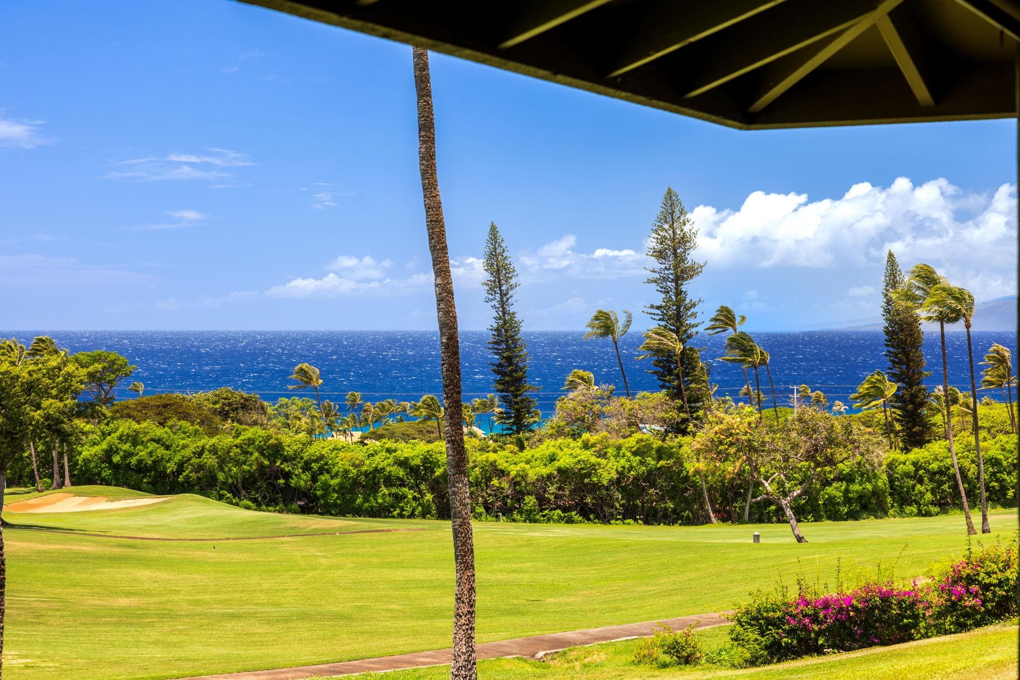 Kaanapali Plantation condo # 12, Lahaina, Hawaii - photo 44 of 50