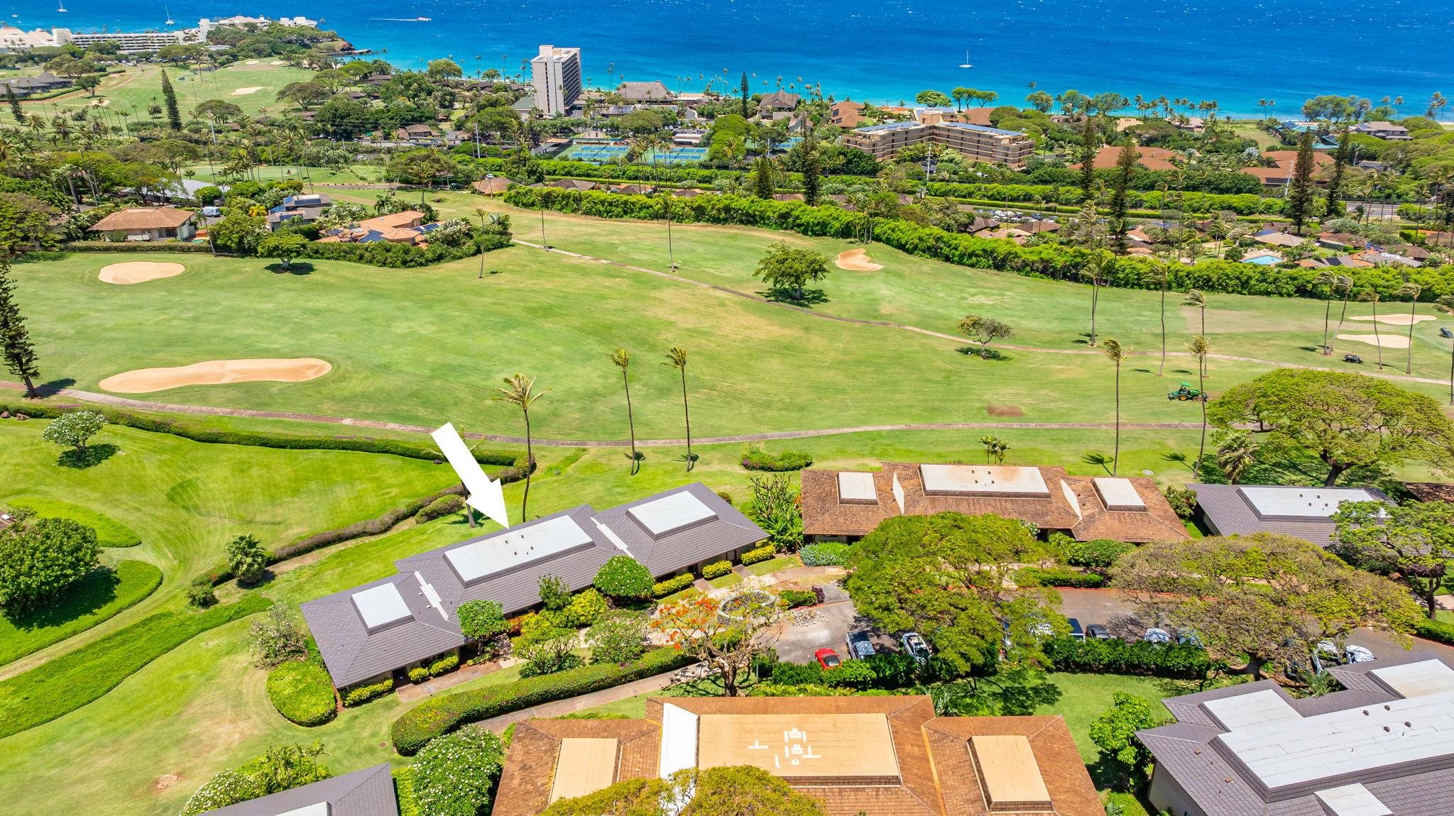 Kaanapali Plantation condo # 12, Lahaina, Hawaii - photo 45 of 50
