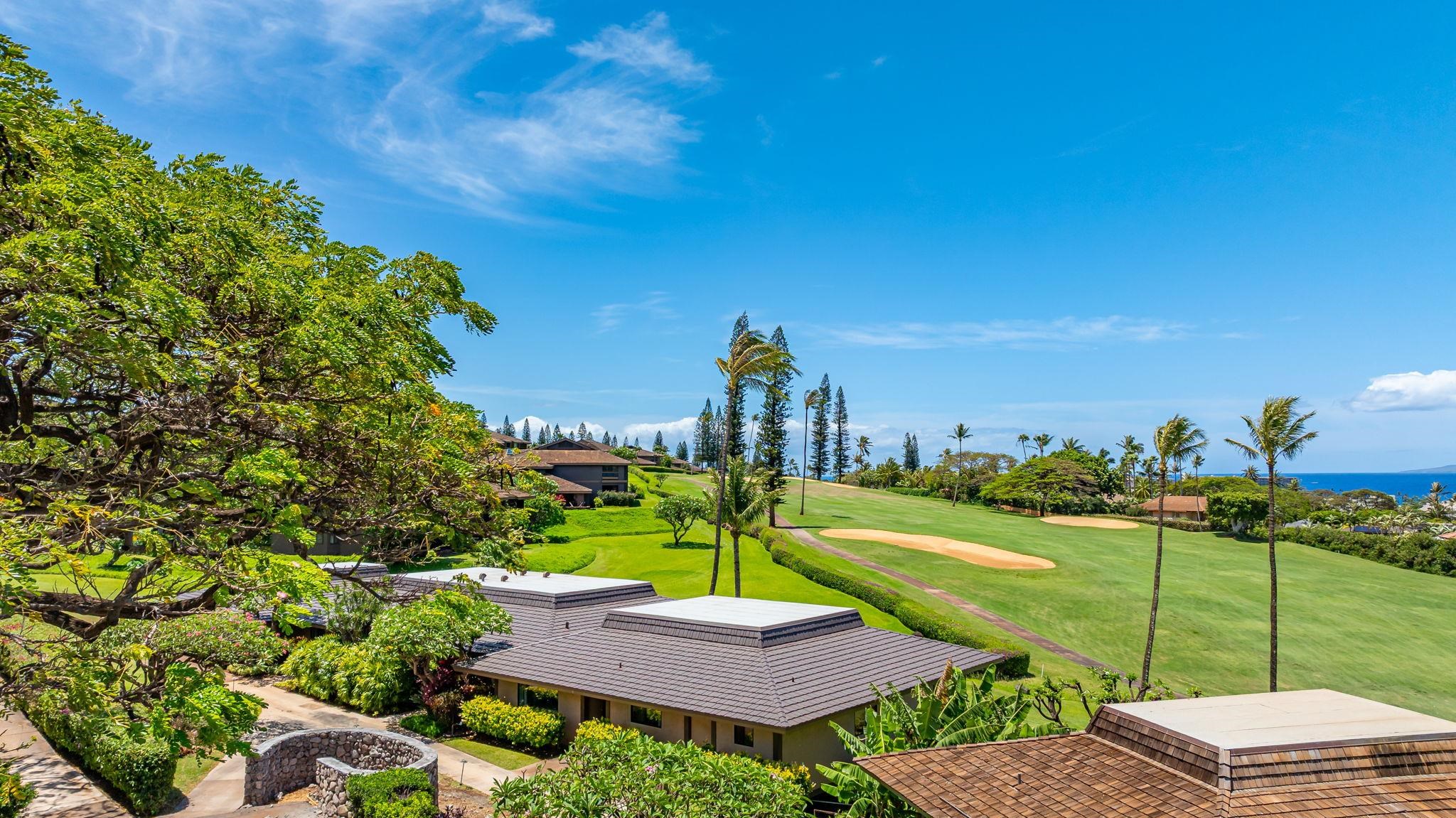Kaanapali Plantation condo # 12, Lahaina, Hawaii - photo 48 of 50