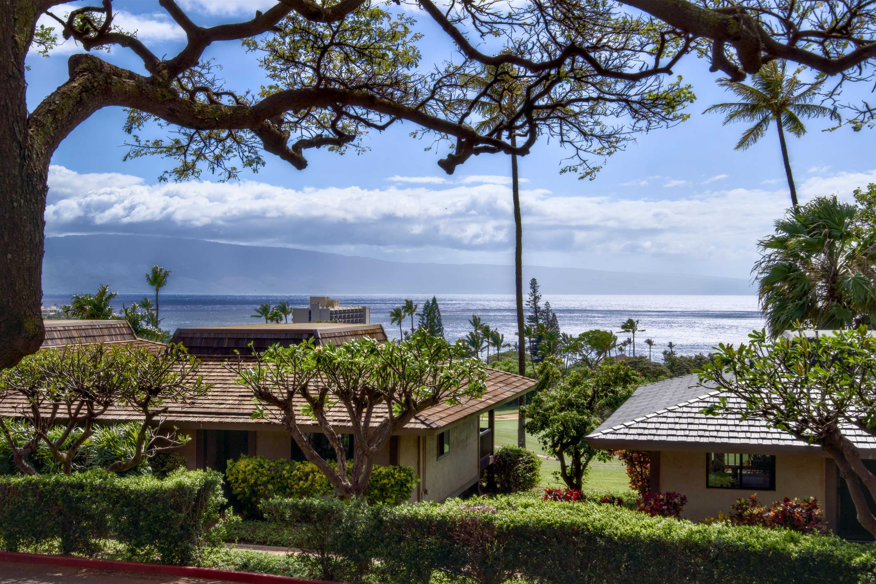 Kaanapali Plantation condo # 15, Lahaina, Hawaii - photo 3 of 46