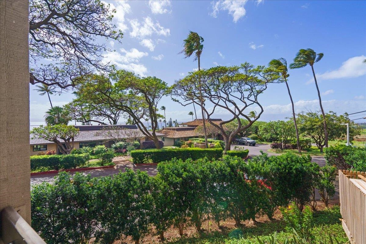 Kaanapali Plantation condo # 15, Lahaina, Hawaii - photo 25 of 46