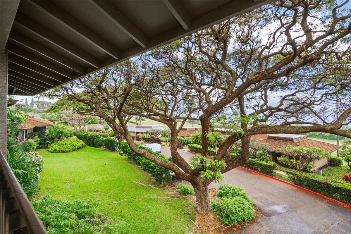 Kaanapali Plantation condo # 15, Lahaina, Hawaii - photo 29 of 46