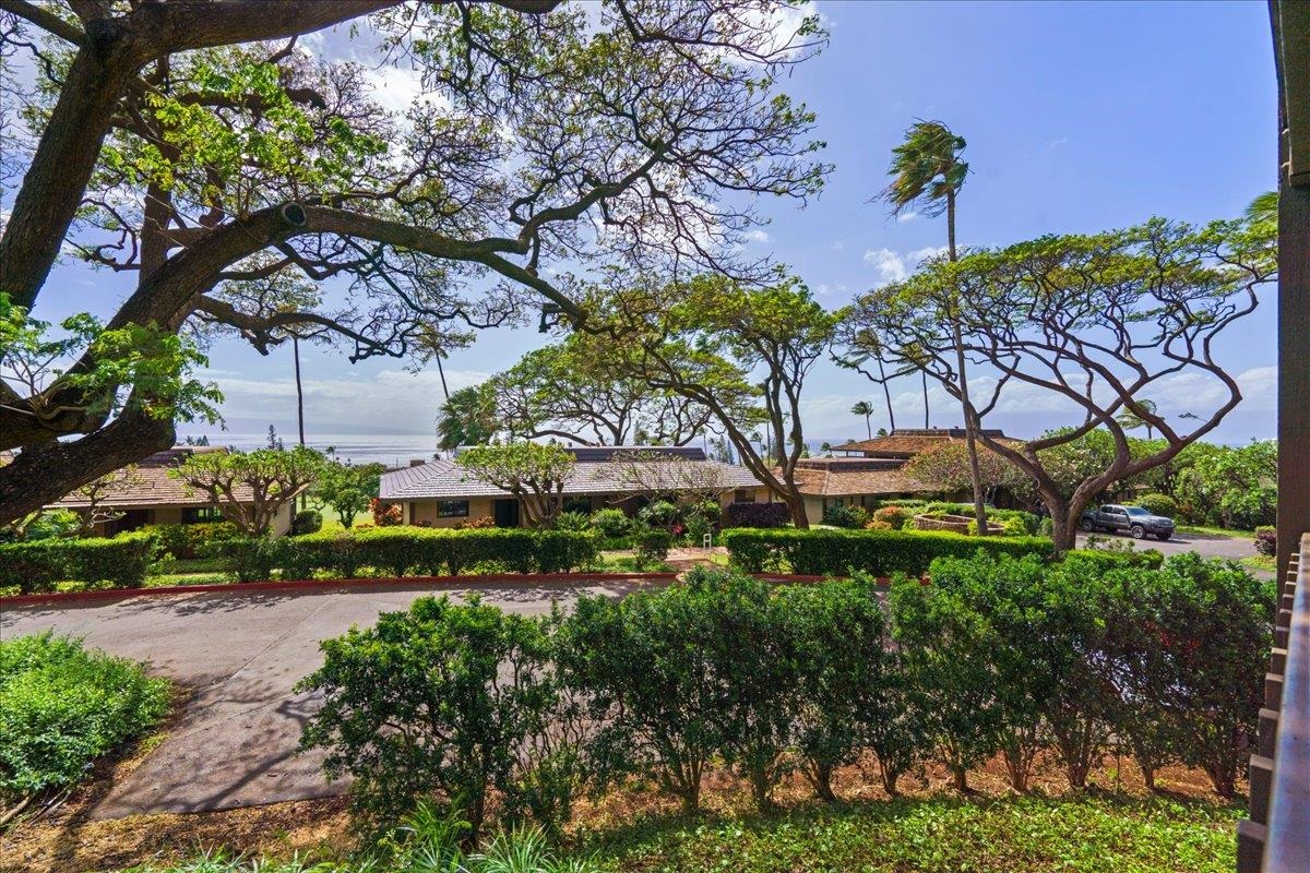 Kaanapali Plantation condo # 15, Lahaina, Hawaii - photo 35 of 46