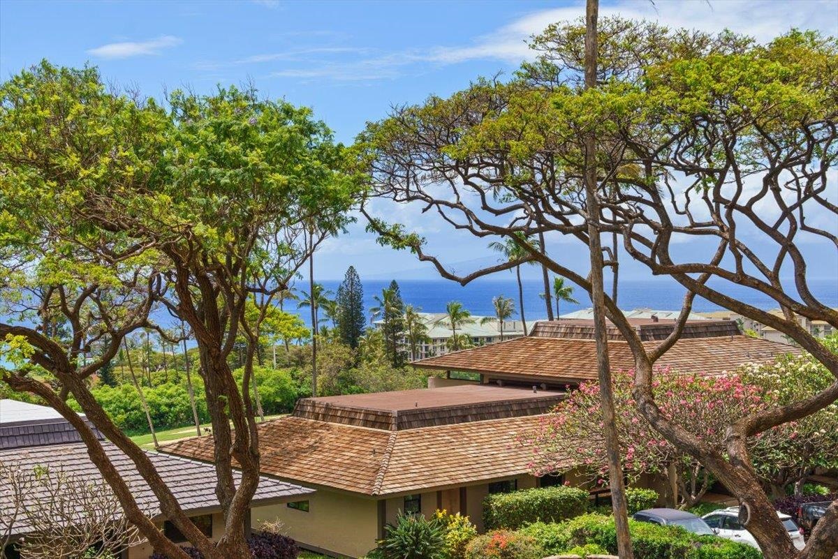 Kaanapali Plantation condo # 15, Lahaina, Hawaii - photo 36 of 46