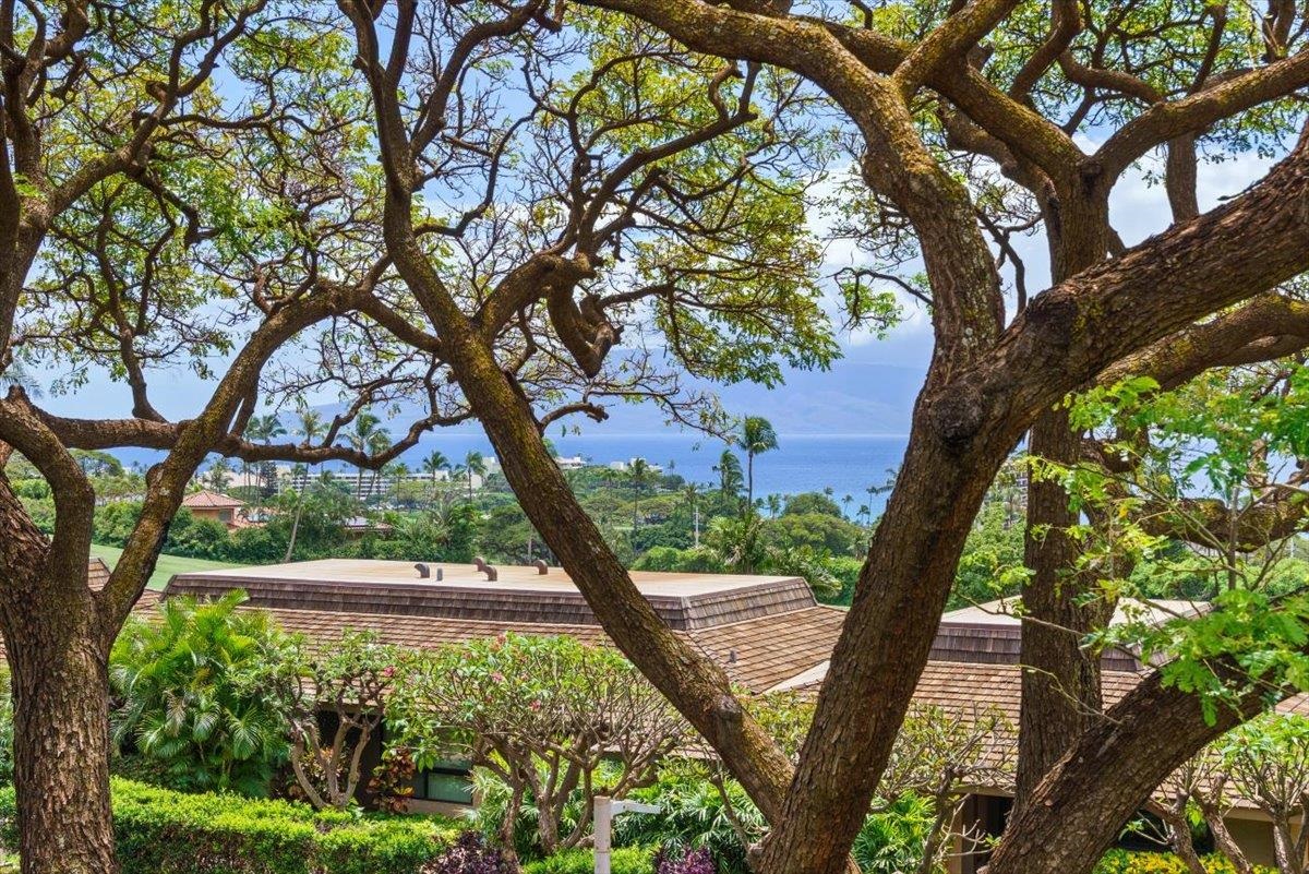 Kaanapali Plantation condo # 15, Lahaina, Hawaii - photo 37 of 46