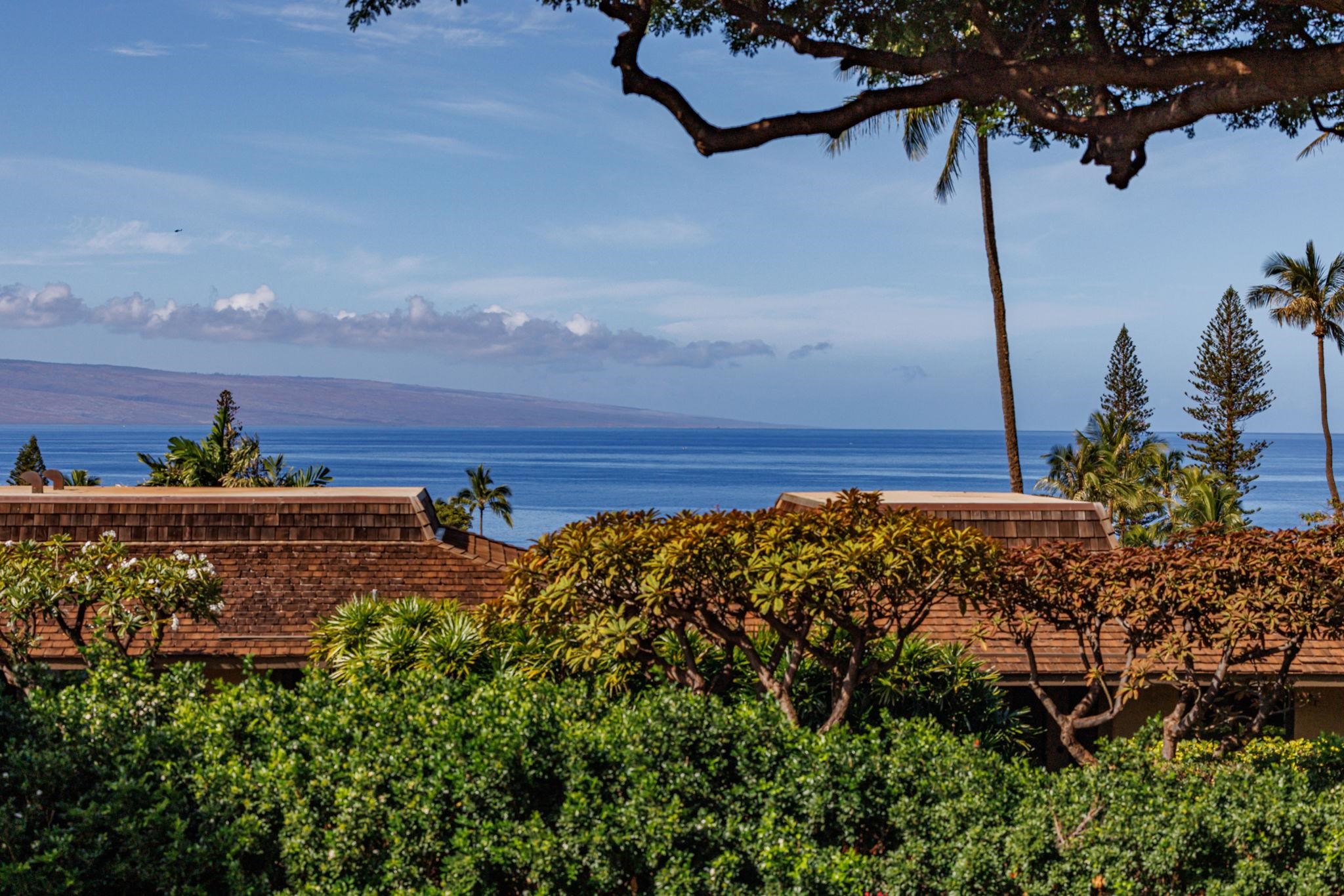 Kaanapali Plantation condo # 18, Lahaina, Hawaii - photo 3 of 49