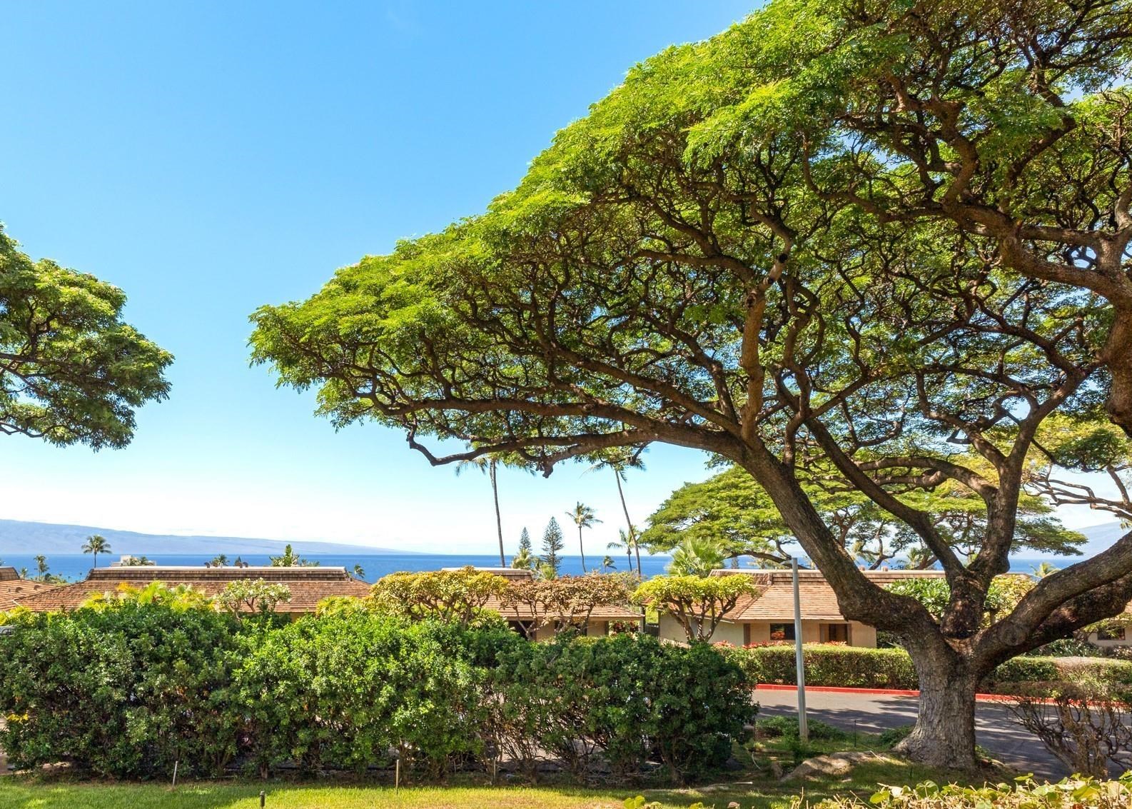 Kaanapali Plantation condo # 18, Lahaina, Hawaii - photo 41 of 41