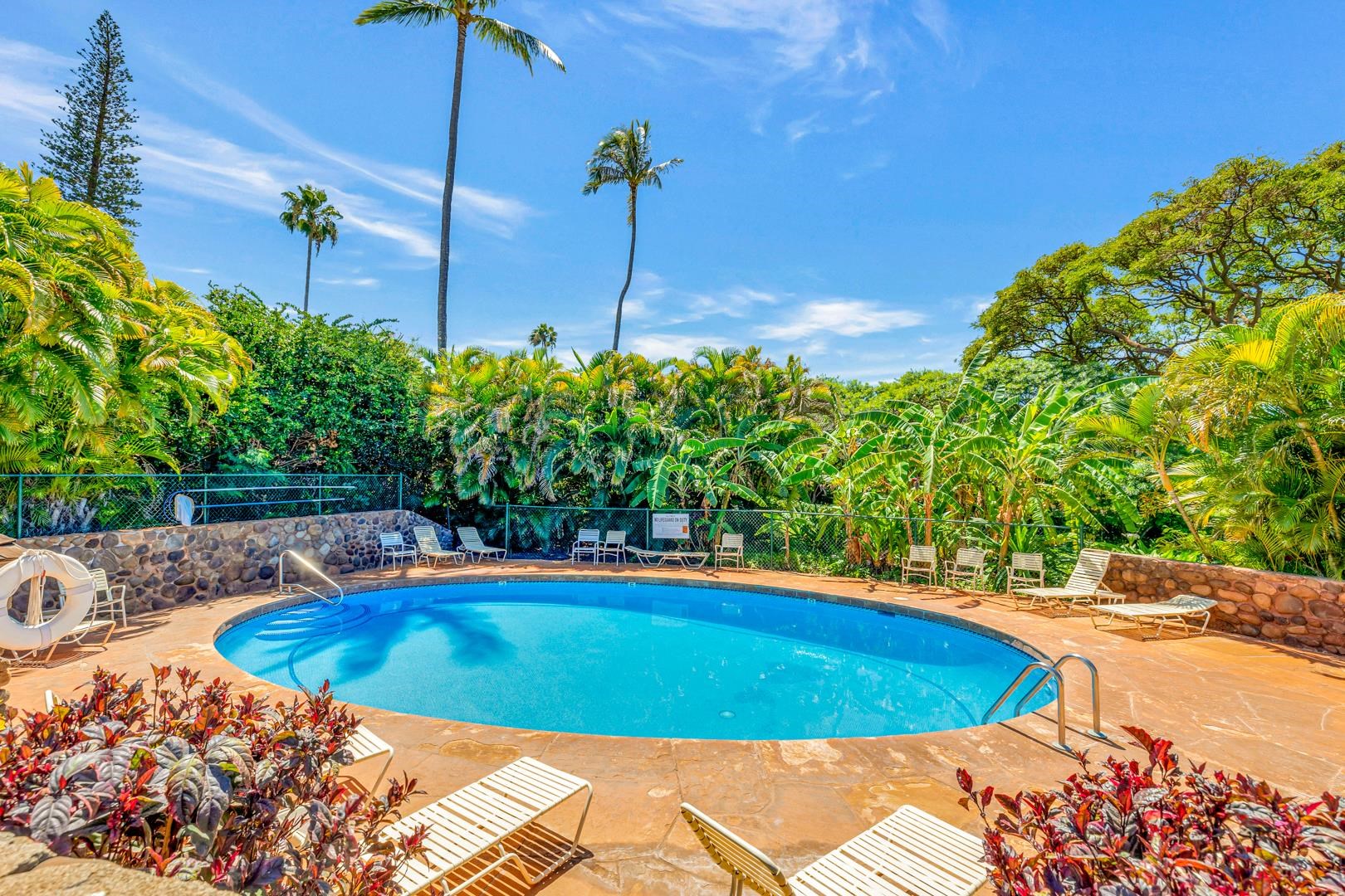 Kaanapali Plantation condo # 18, Lahaina, Hawaii - photo 45 of 49