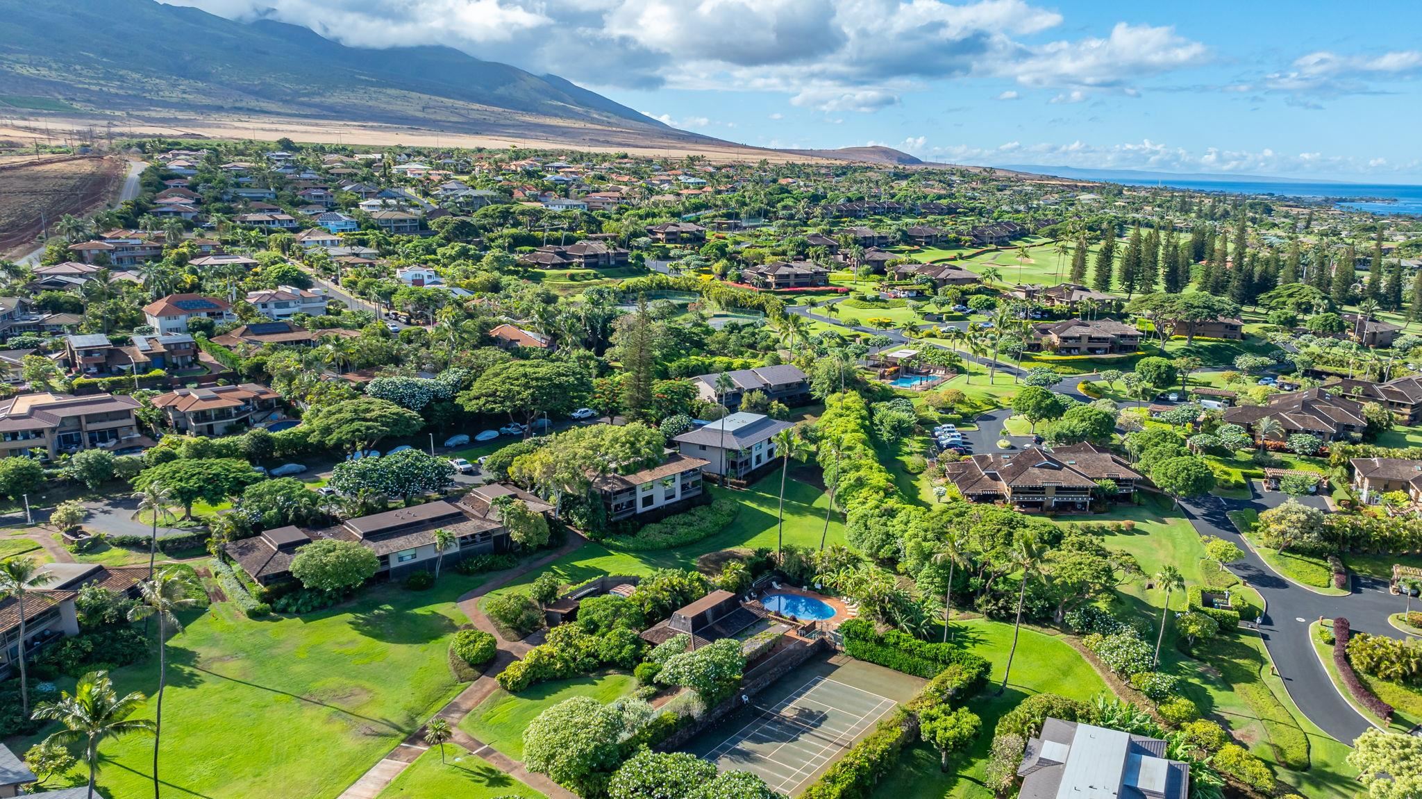 Kaanapali Plantation condo # 18, Lahaina, Hawaii - photo 46 of 49